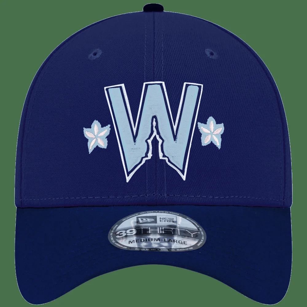 2025 Washington Nationals City Connect Hat Nationals Merch Gifts For Father's Day