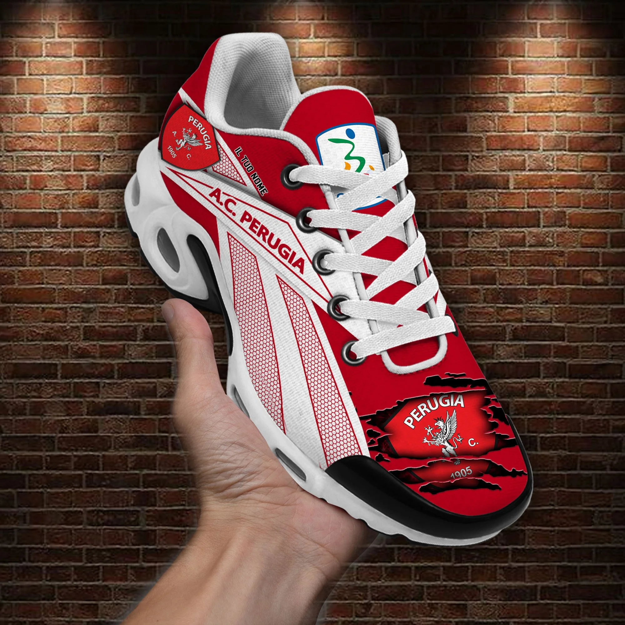 A.C. Perugia Air Max Plus Shoes Sneakers For Men And Women