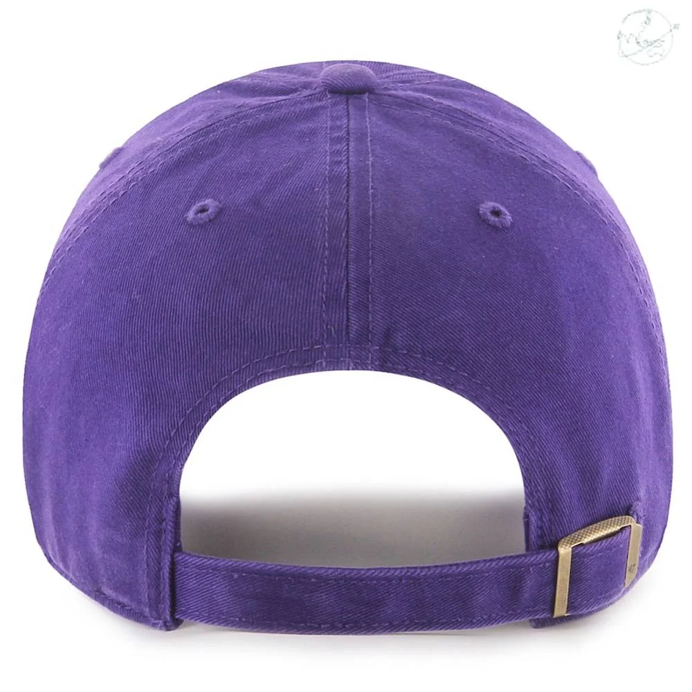 Baltimore Ravens 2023 AFC North Divion Champions Purple Cap